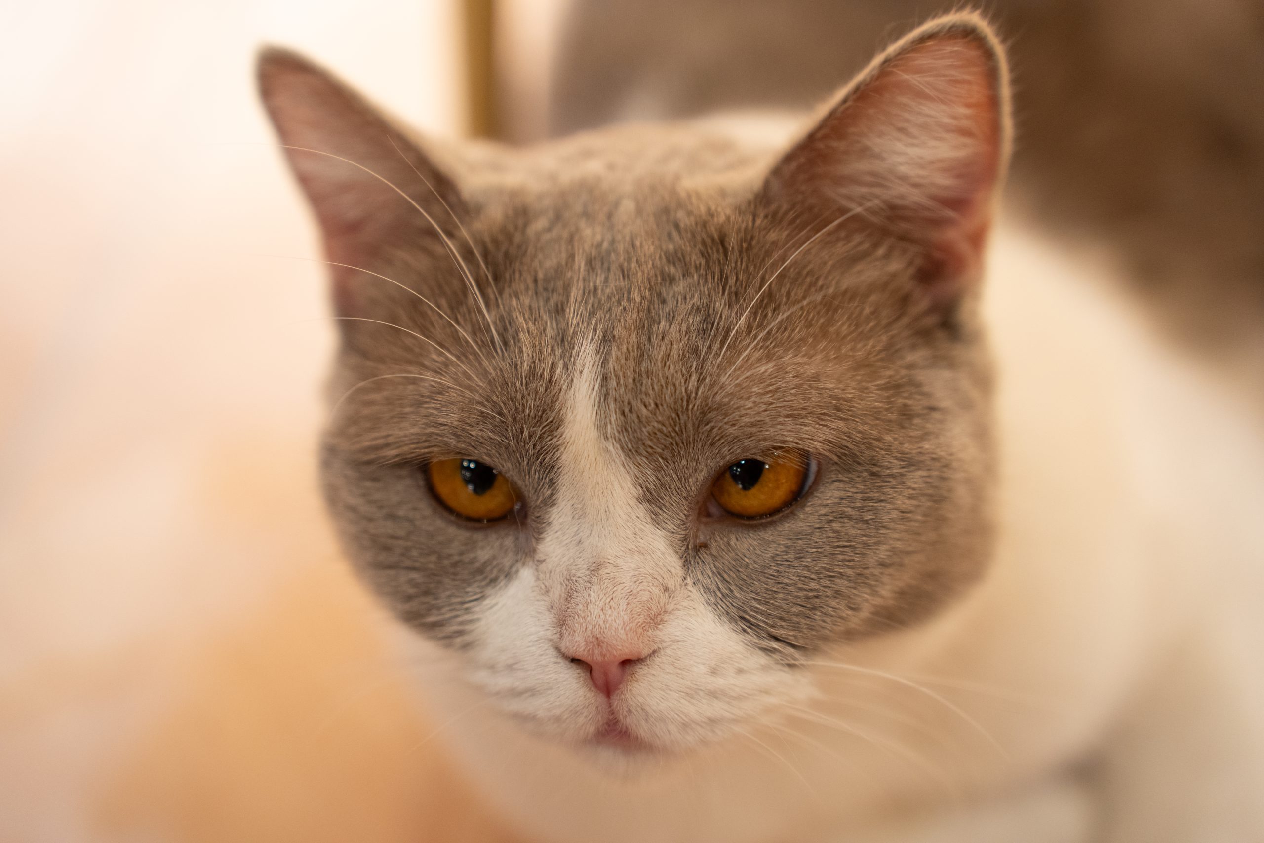 DSC00489